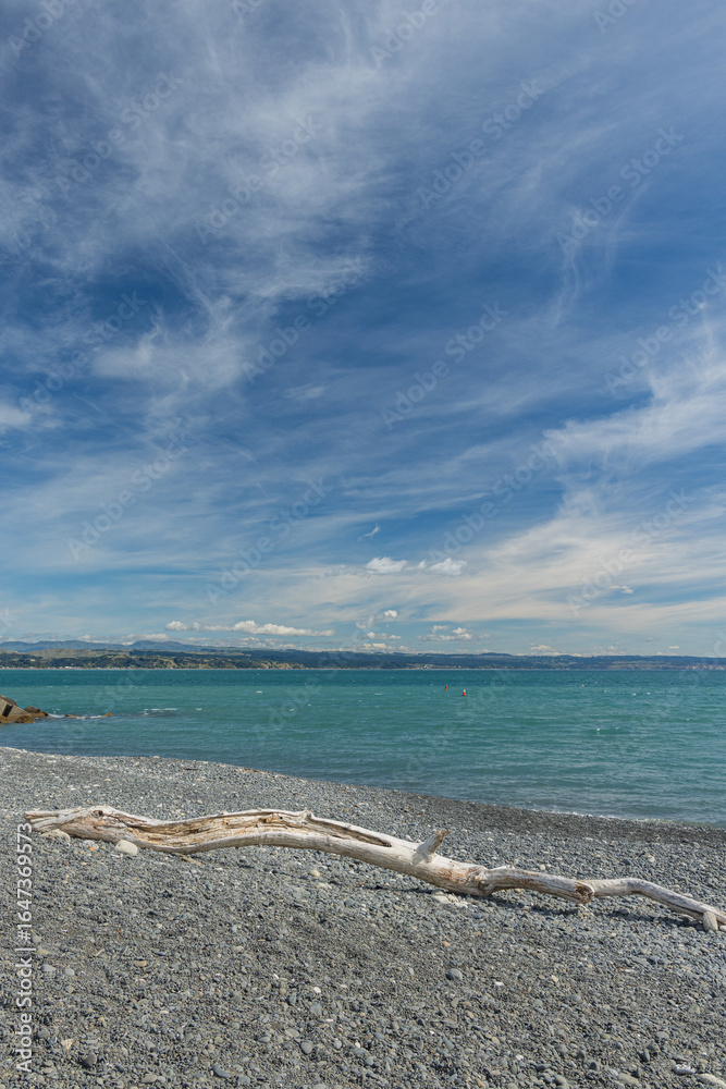 Obraz premium ニュージーランド ホークスベイ地方、ネイピアのアフリリにあるパーフューム・ポイントのビーチ風景