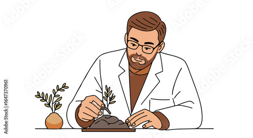 Planting seedling