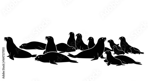 a colony of seals black and white silhouette illustration for conservation wildlife or marine life projects