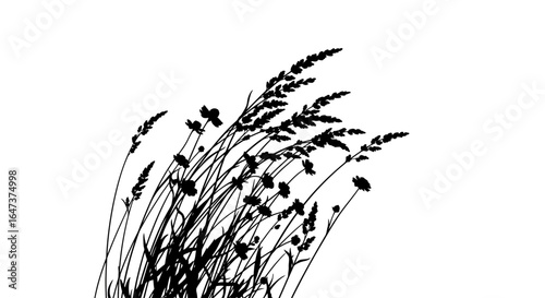 elegant black silhouette of windblown wildflowers and grasses perfect for natureinspired designs ecofriendly branding and elegant invitations