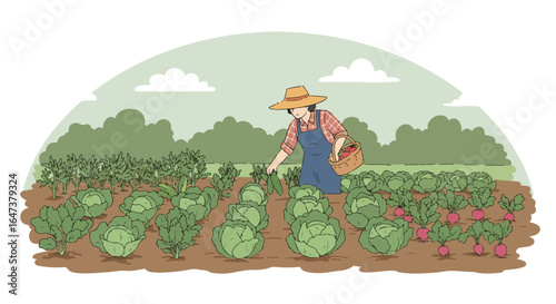 Farm Harvest Veggie garden with farmer picking vegetables in basket