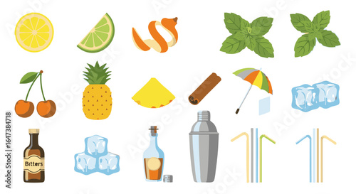 Cocktail ingredients flat icon set vector isolated garnish