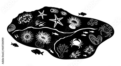 protecting our oceans a striking silhouette illustration of diverse marine life thriving in a vibrant underwater ecosystem ideal for environmental campaigns and educational materials