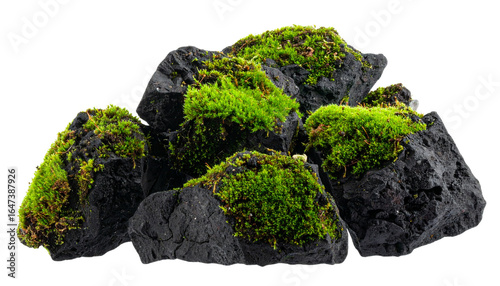 Black volcanic rocks with neon green moss isolated on white background. Png