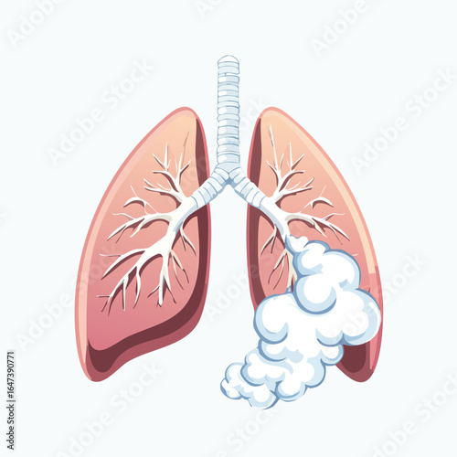 Illustration of human lungs depicting the respiratory system and its components, including the airways.
