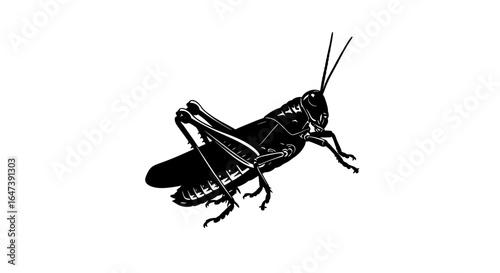 powerful silhouette of a grasshopper perfect for nature ecology or entomology designs logos and illustrations