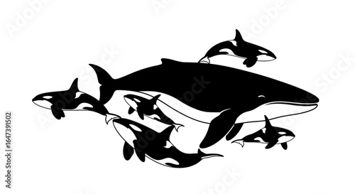 orcas and minke whale silhouette a striking image for ocean conservation marine life projects and nautical designs
