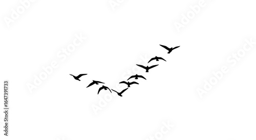 flock of birds in flight minimalist black silhouette for freedom teamwork and journey concepts ideal for websites blogs and social media
