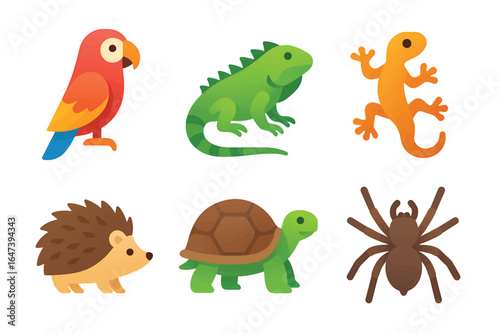 Collection of vibrant and whimsical cartoon-style animal illustrations including a parrot, iguana, gecko, hedgehog, turtle, and spider, showcasing a diverse range of exotic and unique animals.