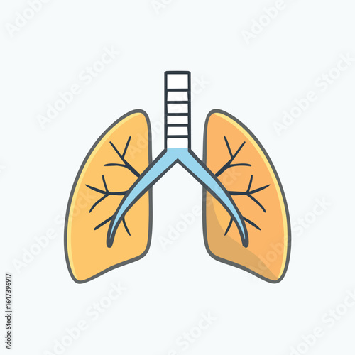 Detailed anatomical illustration of the human lungs, showcasing the respiratory system's structure and components.