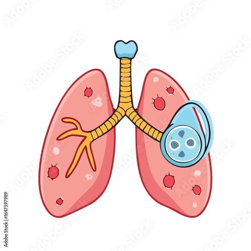 Anatomical illustration of human lungs, highlighting the respiratory system and its components.