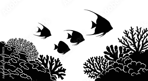 elegant black and white angelfish silhouette over coral reef perfect for marine life ocean and nature designs