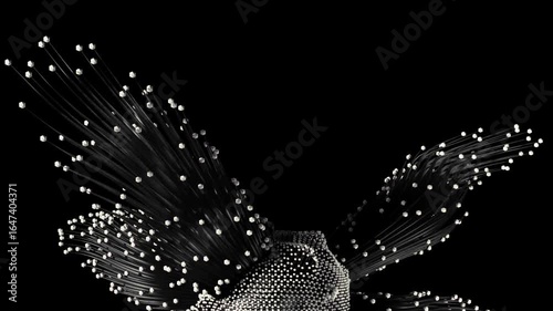 white seamless looped abstract animation. Flowing sharp-ended lines with sphere tips in smooth organic motion. Perfect for VJ loops, event visuals, backgrounds, and digital