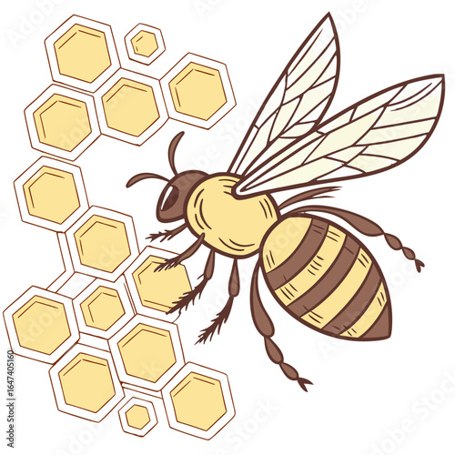 Cartoon bee flying near honeycomb isolated on white background