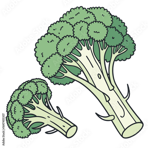 Two broccoli florets isolated on white background