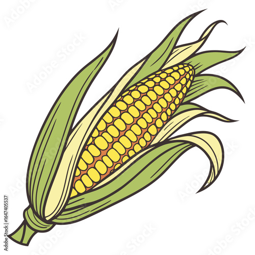 Corn cob with green leaves isolated on white background