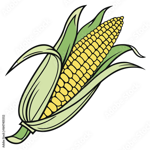 Corn cob with green leaves isolated on white background
