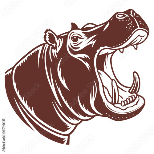 Aggressive hippopotamus with open mouth, isolated on white background