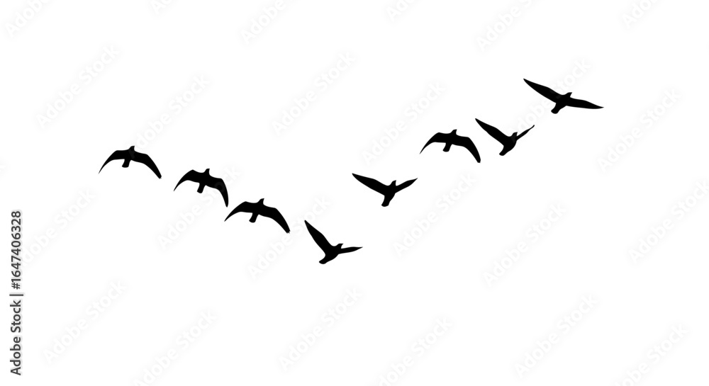 Fototapeta premium flock of birds in flight symbolic image for freedom teamwork and migration ideal for website banners social media posts and print designs
