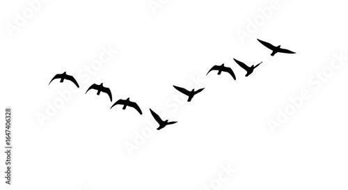 flock of birds in flight symbolic image for freedom teamwork and migration ideal for website banners social media posts and print designs
