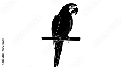 elegant macaw silhouette perfect for tropical designs logos and branding projects requiring a touch of exotic flair