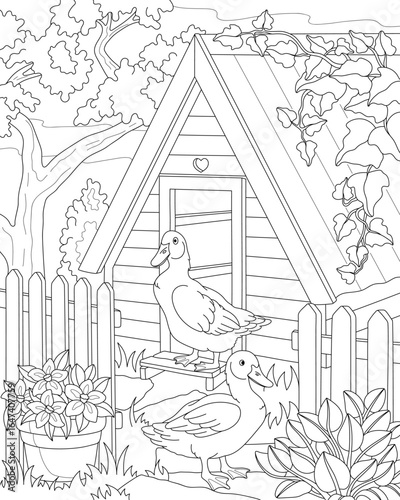 Ducks in the yard. Rural landscape. Coloring page for adults. Vector illustration.
