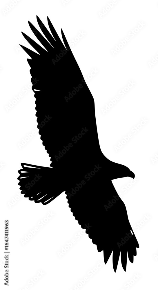 Naklejka premium Elegant black and white vector silhouette of a flying eagle, spread wings, high detail feathers, isolated on white