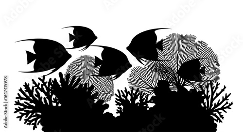 elegant black and white angelfish silhouette over coral reef perfect for marine life ocean theme and tropical designs