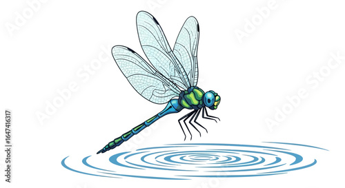 dragonfly landing on water serene nature illustration for wellness mindfulness and environmental projects