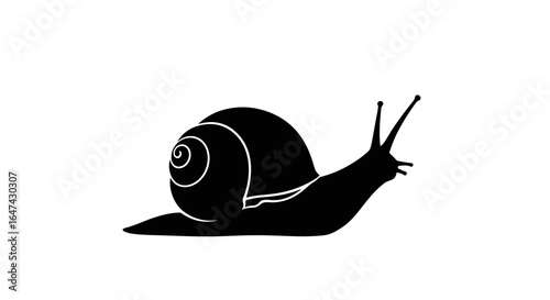 steady progress black and white snail silhouette illustrating perseverance slow and steady growth and achieving goals over time
