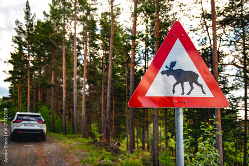 Moose crossing warning sign in the wood
