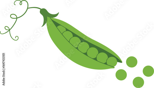 Fresh green pea pod with peas