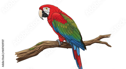 vibrant scarlet macaw perched on a branch perfect for tropical themes childrens books and wildlife documentaries