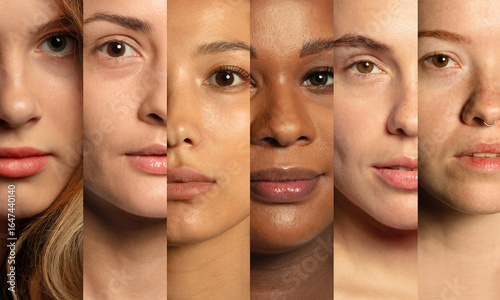 Vászonkép Multi-ethnic women portraits aligned in creative vertical composition