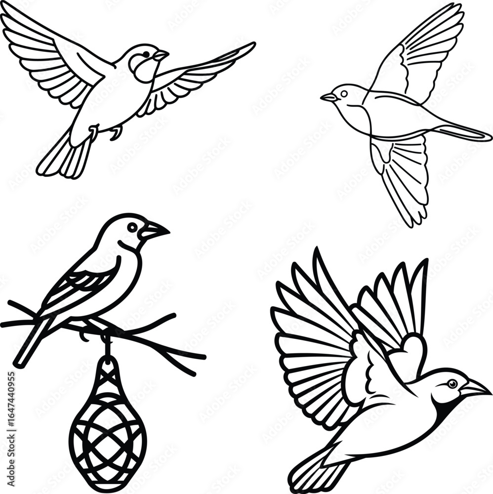 Obraz premium Weaver Bird outline various poses, flying & perched, simple vector design