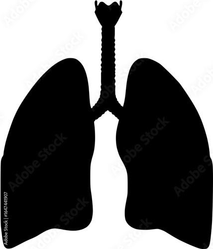 Human Lungs: A Silhouette Illustration