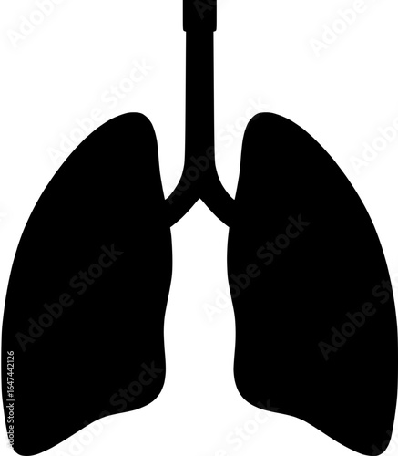 Simplified Lung Anatomy Silhouette Illustration