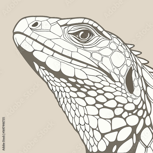 Vector art of detailed closeup illustration of an iguanas head in profile, showcasing intricate scales and its distinctive eye, rendered in a line art style against a neutral background