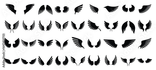 Vector art of collection of various angel wings isolated on white background, featuring diverse shapes and styles, perfect for adding a touch of ethereal beauty and symbolism to your creative projects
