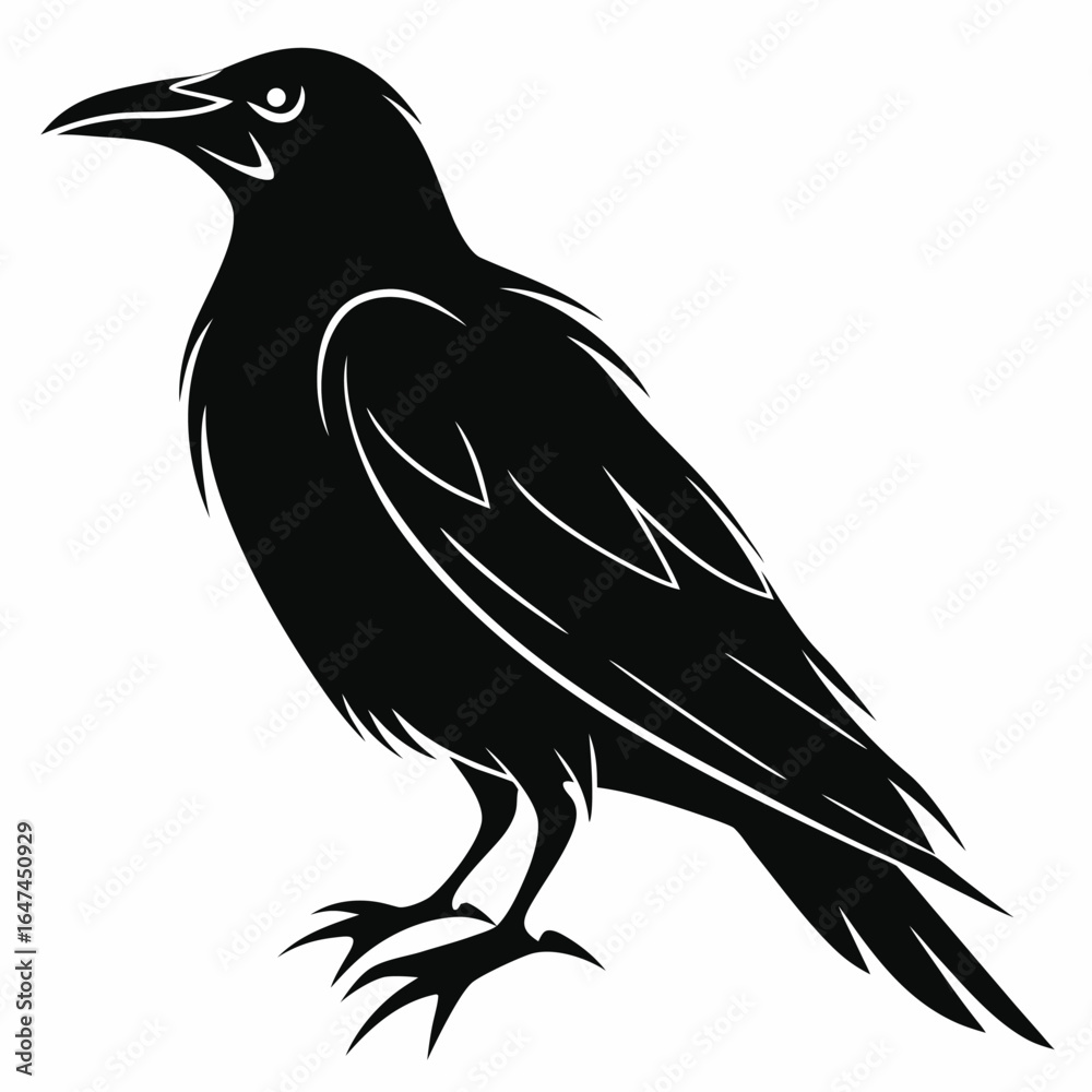 Obraz premium Vector Illustration Of Back and white Crow Silhouette – Isolated on White Background