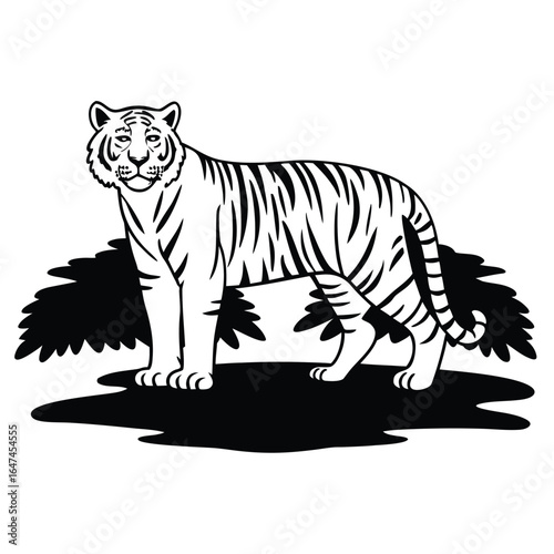 Vector Illustration Of Back and white Tiger Silhouette – Isolated on White Background