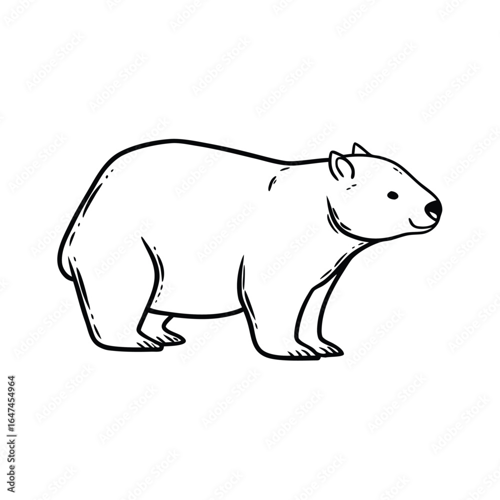 Fototapeta premium Vector Illustration Of Back and white Wombat Silhouette – Isolated on White Background
