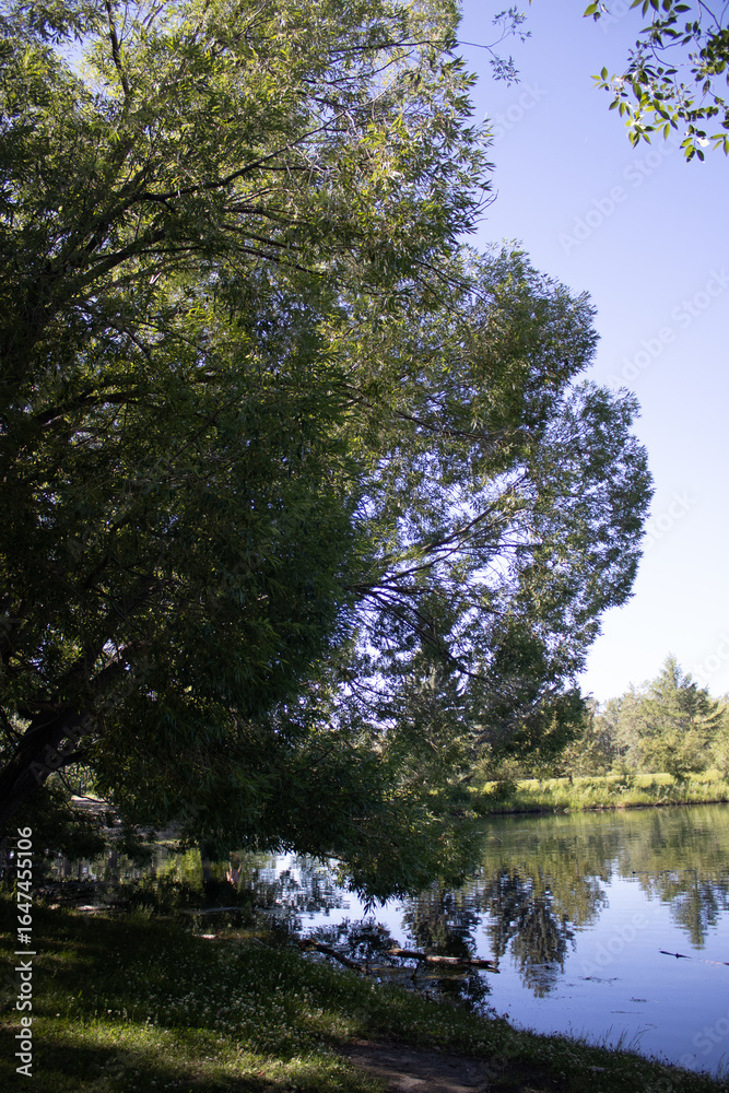 Obraz premium tranquillity by the lake