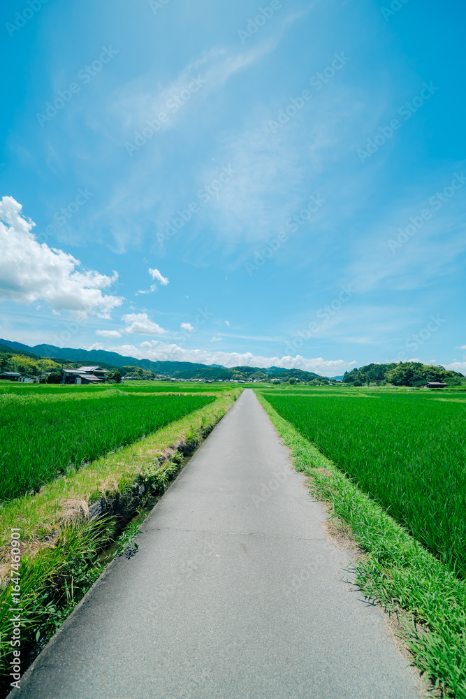 Obraz premium 奈良の飛鳥寺の風景