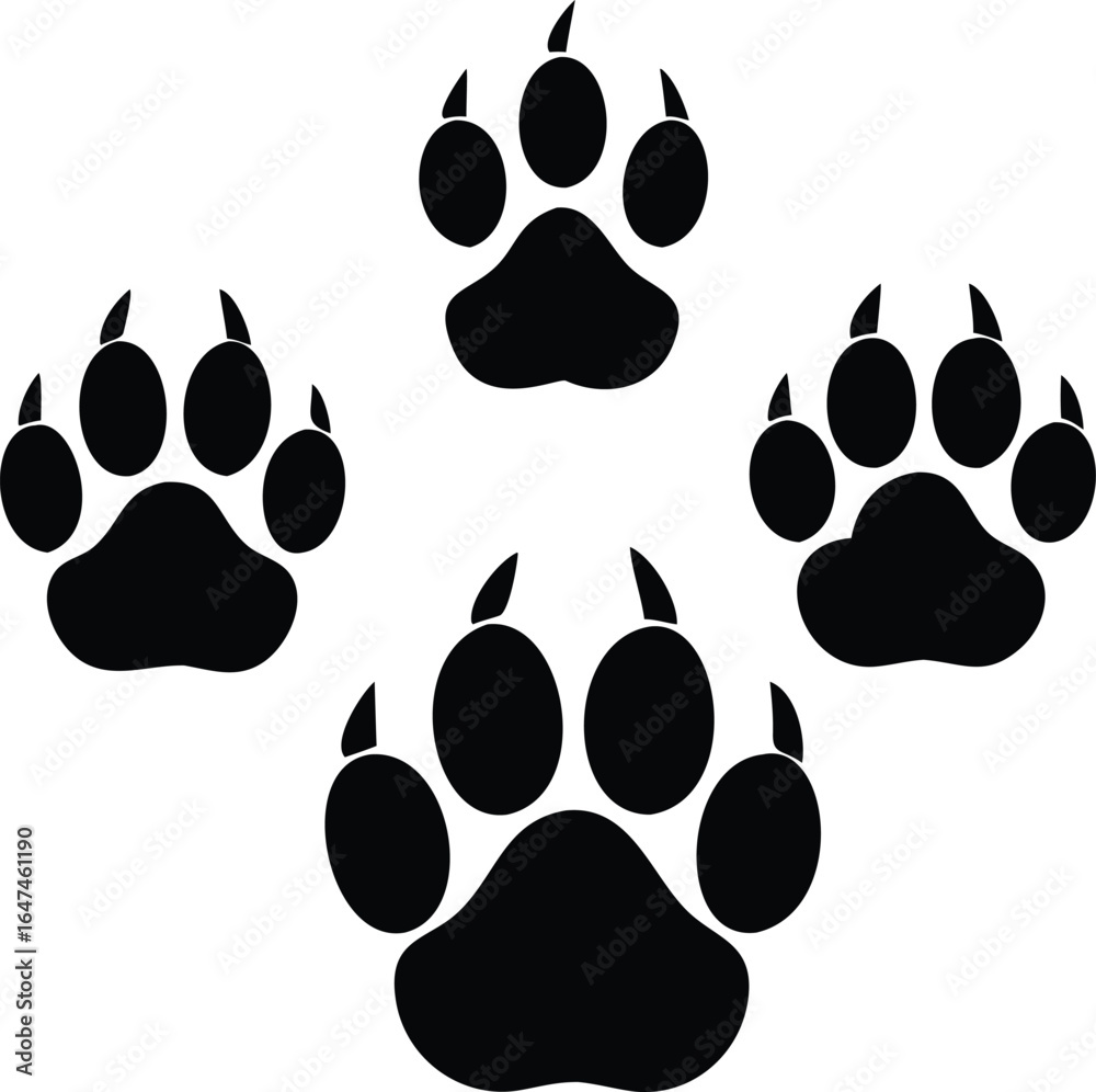Fototapeta premium Four Black Paw Prints on White Background animal bear