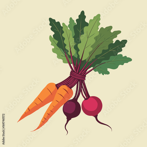 Assorted root vegetables tied in a bunch with green leaves  