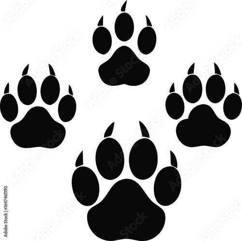 Four Black Paw Prints on White Background animal bear