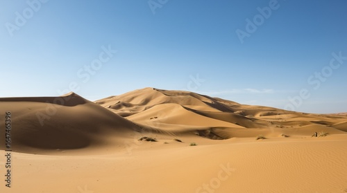 Sand dunes in the desert, dune landscape Erg Chebbi, Merzouga, Sahara, Morocco