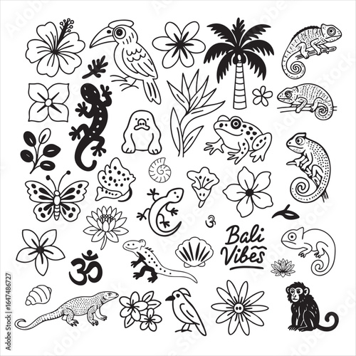 Collection of black and white doodles on the theme of Bali. Food, animals, tropical plants, symbols, architecture, drinks