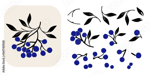 Flat vector illustration of black rowan berry cluster with blue fruits. Perfect for autumn greeting cards, seasonal packaging, fabric prints, wrapping paper, posters, and digital projects
